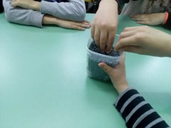 IMG_20190506_112436.jpg